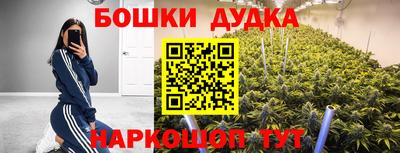 ALPHA PVP Аргун
