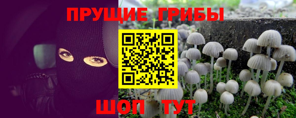Галлюциногенные грибы ЛСД Апшеронск